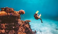 snorkelling on the Great Barrier Reef