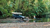 daintree rainforest far north queensland