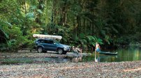 daintree rainforest, far north queensland