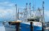 santiego seafoods port douglas