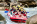 Cairns Adventure Group